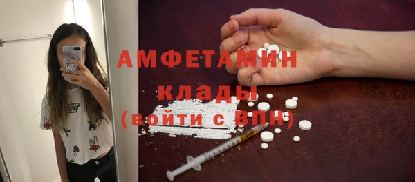 ешки Аркадак
