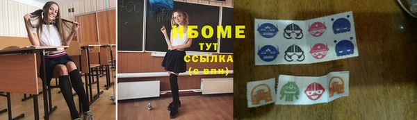 ешки Аркадак
