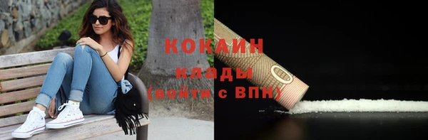 ешки Аркадак