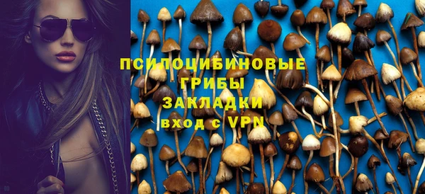 ешки Аркадак