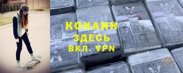 ешки Аркадак