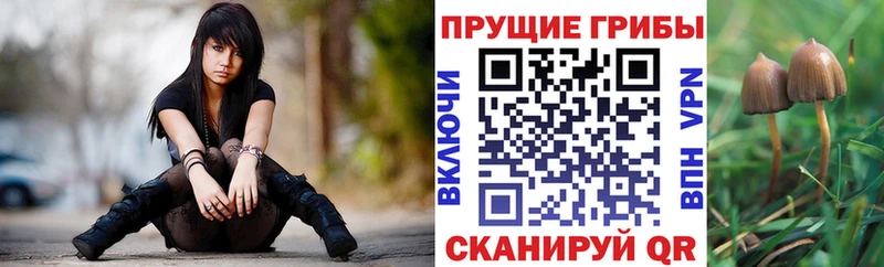 Галлюциногенные грибы мицелий  продажа наркотиков  Няндома 