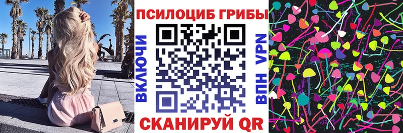 Галлюциногенные грибы Psilocybine cubensis Няндома