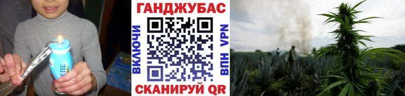 где найти наркотики Няндома Шишки марихуана гибрид